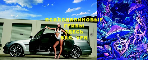 spice Гусиноозёрск