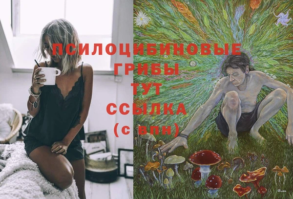 spice Гусиноозёрск